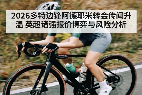 2026多特边锋阿德耶米转会传闻升温 英超诸强报价博弈与风险分析